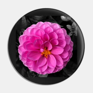 Pink Dahlia Pin