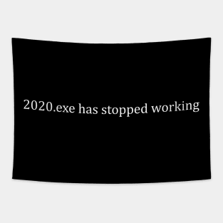 2020.exe has stopped working Tapestry