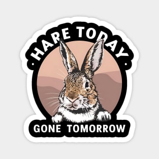 Funny Rabbit Hare Today Gone Tomorrow Magnet