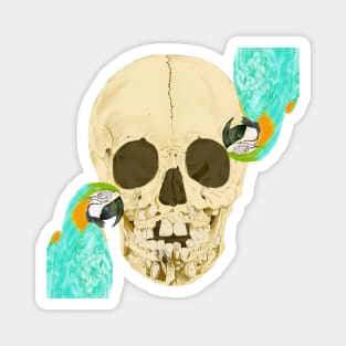 Adolescent skull with exposed teeth and macaws - Watercolor illustration Magnet