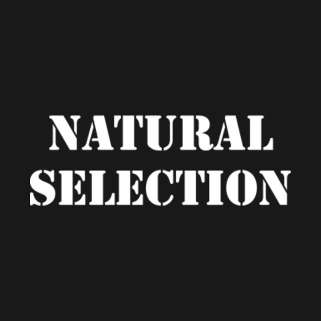 Natural selection футболка. Natural selection надпись. Футболка с надписью natural selection. Натурал Селекшн. Wrath надпись
