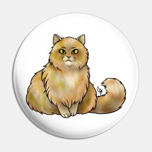 Cat - British Longhair - Marmalade Pin