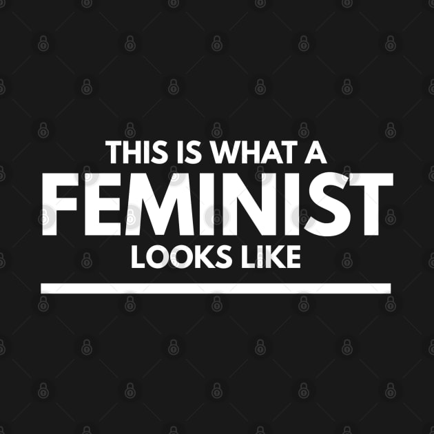 This Is What A Feminist Looks Like - Funny Sayings by Textee Store