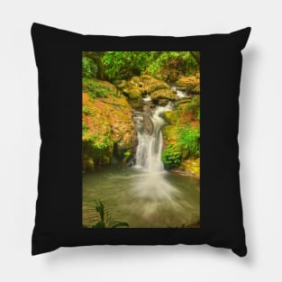 Bunyip Falls .. Portrait View Pillow