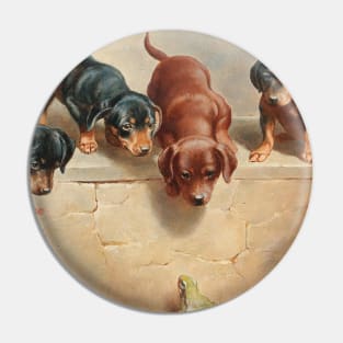 Curious Dachshund Puppies and a Frog by Carl Reichert Pin