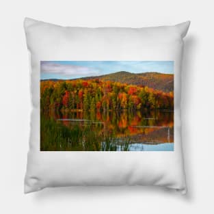 Autumn on Kent Pond Pillow