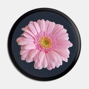 Pale Pink Gerbera Daisy Flower Circle Frame Pin