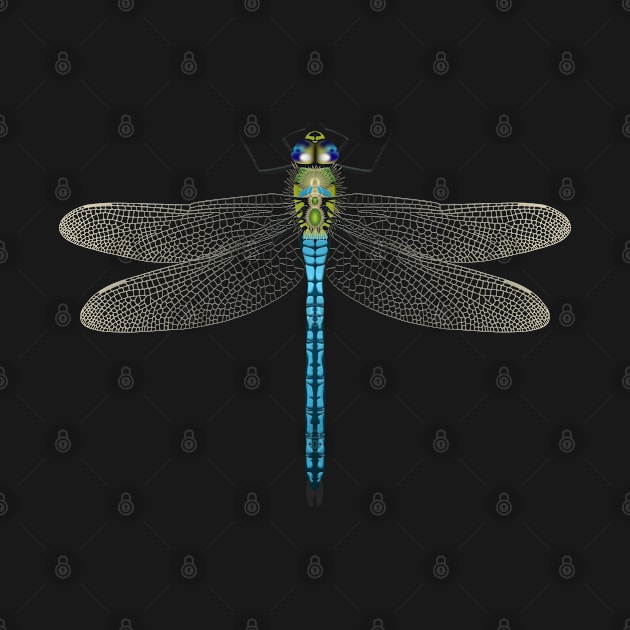 Gretel's Dragonfly by Ricogfx