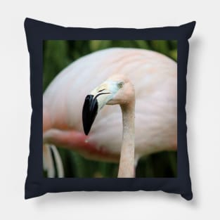 Flamingo Pillow