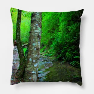 View from Sarnano on the road to Cascata del Pellegrino with trunks, waters, pebbles, greenery Pillow