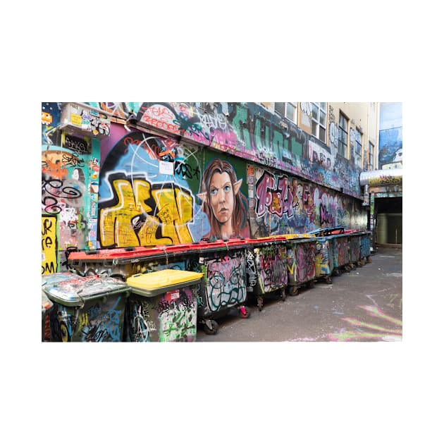 Rubbish bins line a graffiti art Melbourne laneway. by sma1050