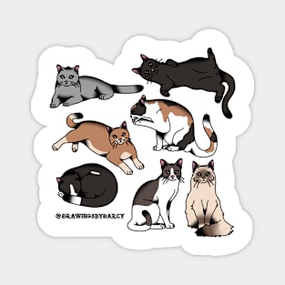 Kitty Pack Magnet