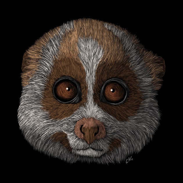 Slow Loris by Walking in Nature