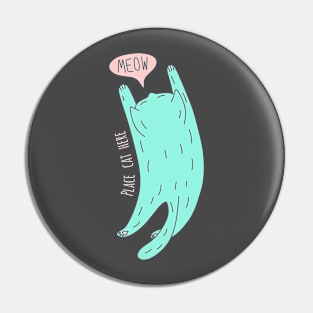 Place cat here Pin