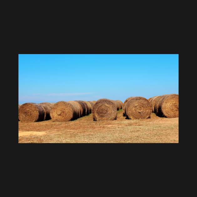 Round Bales Of Hay by Cynthia48