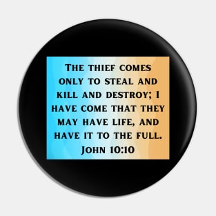 Bible Verse John 10:10 Pin