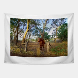 A Horse in the Adelaide Hills, South Australia Tapestry