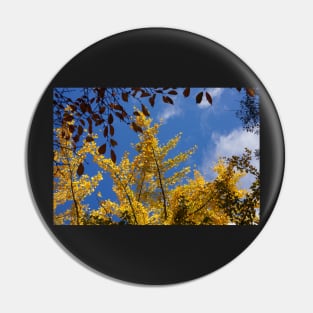 golden gingko tree Pin