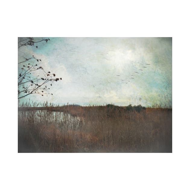 Marshland Calm by Susan Werby