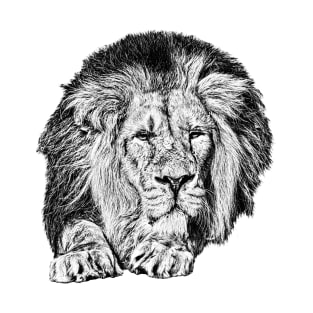 Lion portrait T-Shirt