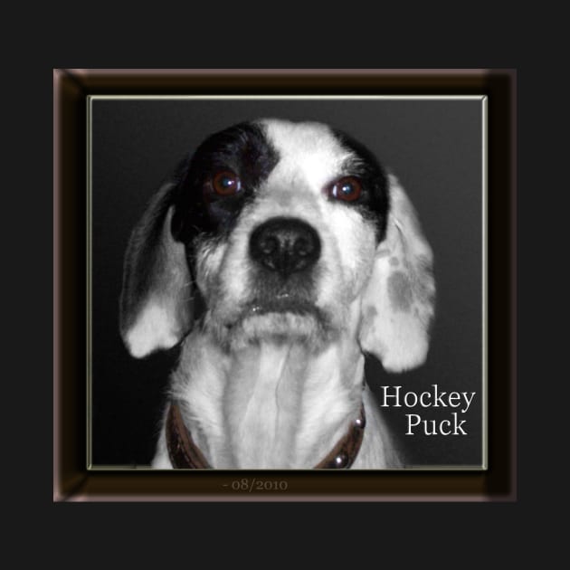 Hocky Puck by michaelasamples