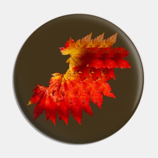 Autumnal fire colored leaves Pin