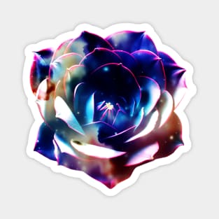 Galaxy Bright Flower Magnet