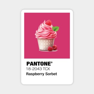 Raspberry Sorbet ice cream Magnet