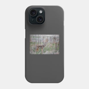 Coyote Eyes Phone Case