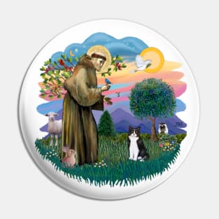 Saint Francis Blesses a Black and White Tuxedo Cat Pin