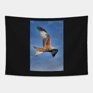 Red Kite Bird of Prey (Milvus Milvus) Tapestry