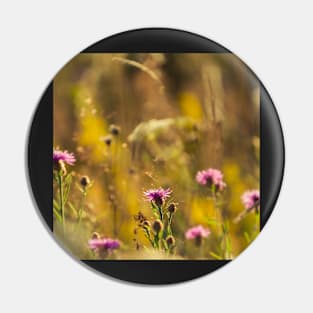 Brown Knapweed Pin