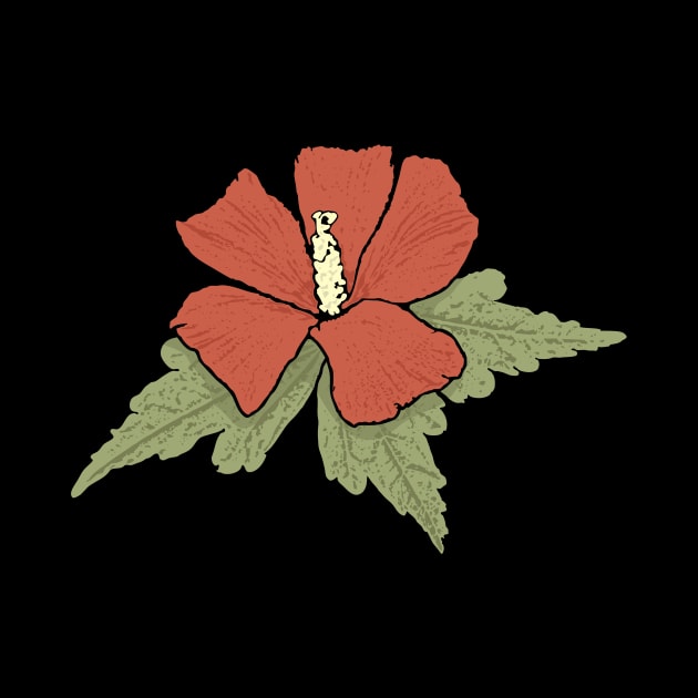 Red Hibiscus by sifis