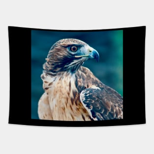 Wild Bird Hawk Tapestry