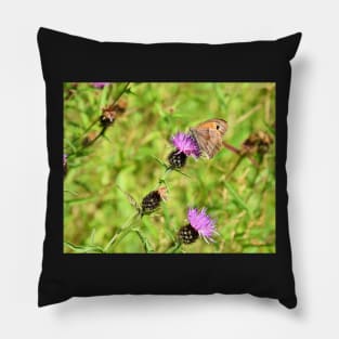 Ringlet Butterfly Pillow