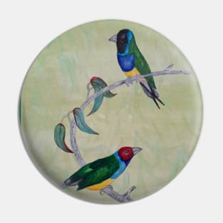 Australian Gouldian Finches Pin