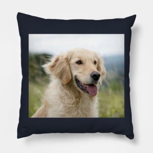 Golden Retriever Dog Pillow