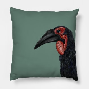 Southern Ground Hornbill Illustration Pillow