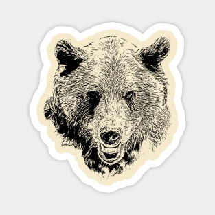 Bear portrait Magnet