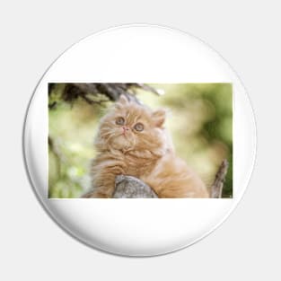 Persian Cat Digital Painting Pin