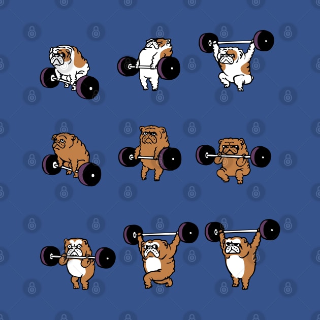 OLYMPIC LIFTING English Bulldog by huebucket