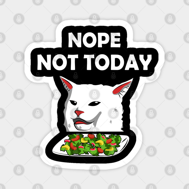 Nope Not Today Ugly Cat Meme Woman Yelling At Cat On Table