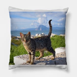 Greek Cat Pillow