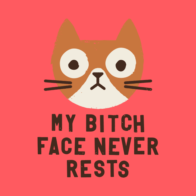 Why the Wrong Face? (cat version) by David Olenick