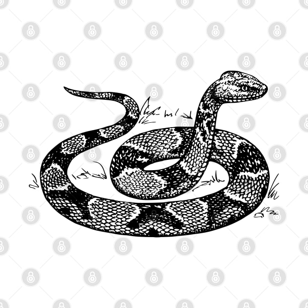 Snake Vintage Image by KC Happy Shop