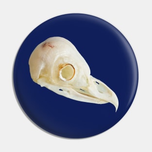 Side view of a Barn Owl skull Pin