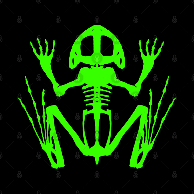 Frog Skeleton (Green) by braincase