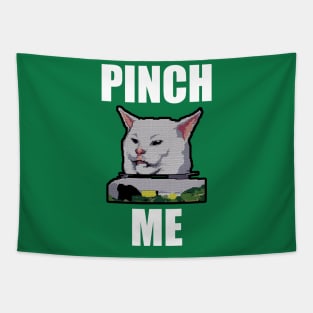 Yelling at Cat Meme - Pinch Me Tapestry