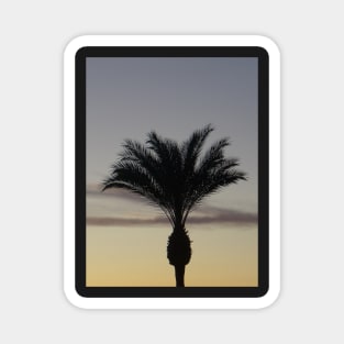 Single Palm Tree Silhouette at Sunset Magnet