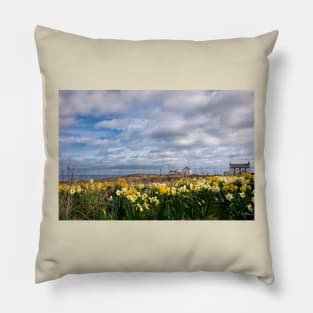 Super Sunny Seaton Sluice Springtime Pillow